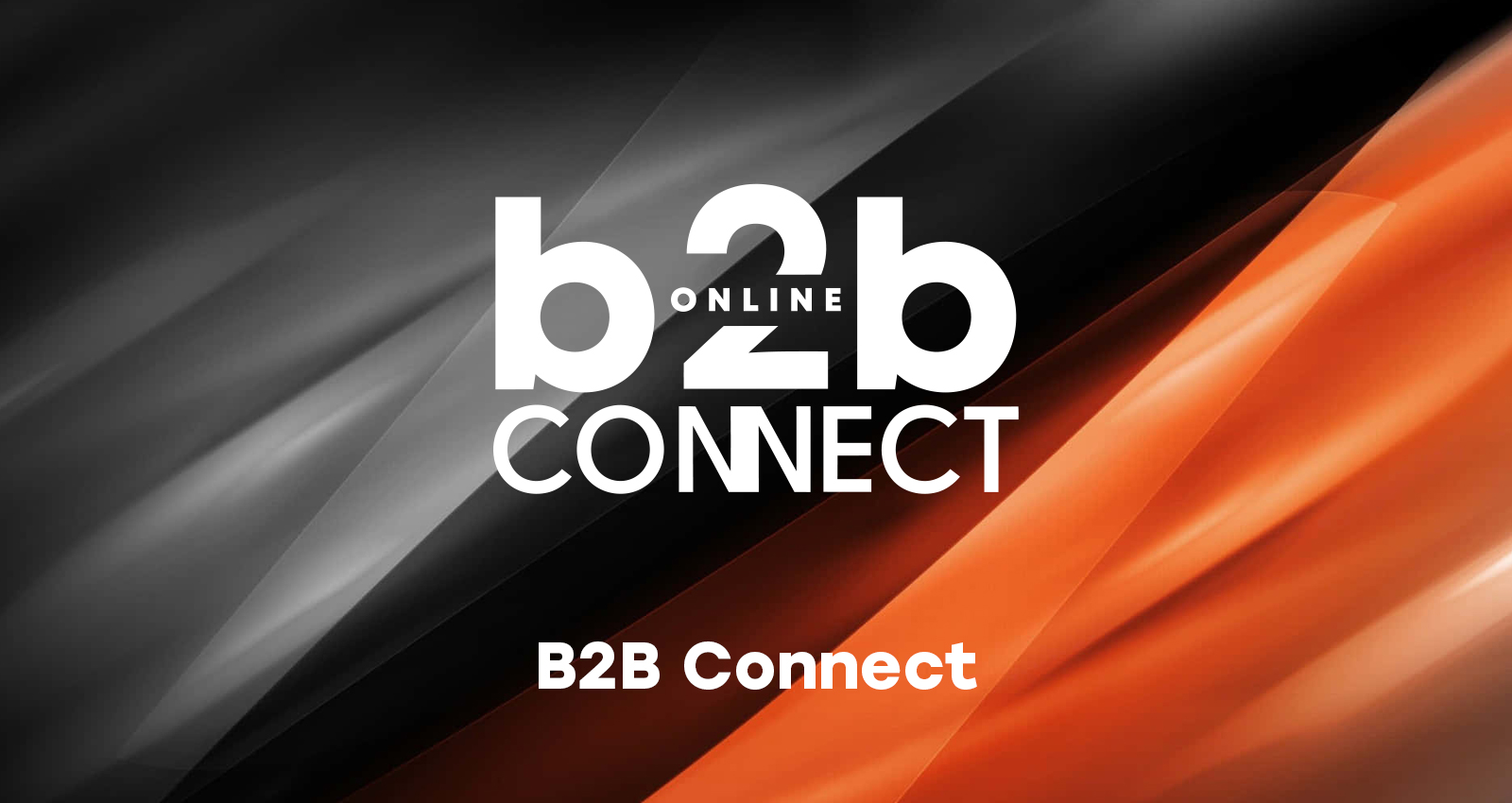 B2B Connect
