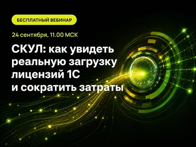 СКУЛ: как увидеть реальную загрузку лицензий 1С и сократить затраты